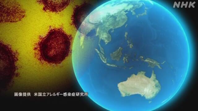 新型コロナウイルスの死者 世界全体で500万人超える | NHKニュース
