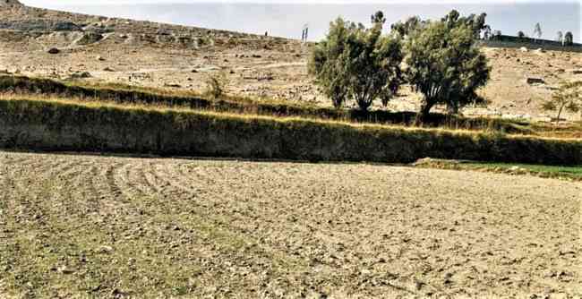 アフガンで食料危機　国連「数百万人餓死の恐れ」　干ばつと国際支援停止で（日本農業新聞） - Yahoo!ニュース