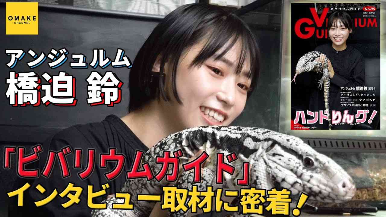 アンジュルム 橋迫 鈴「ビバリウムガイド」インタビュー取材に密着！ - YouTube
