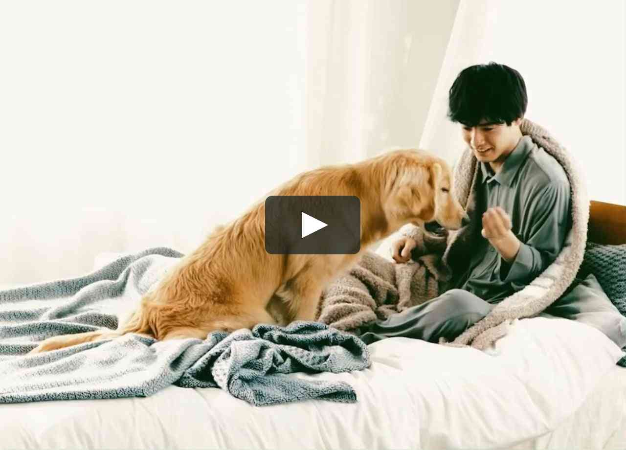 movie2.mp4 on Vimeo