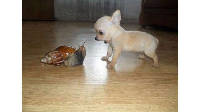 これ本当なの？と思った画像を貼るトピ