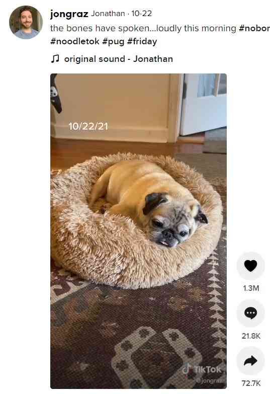 パグの毎朝の占いにフォロワー430万人が熱狂　5千万円超の宝くじを当てた人も！（米）