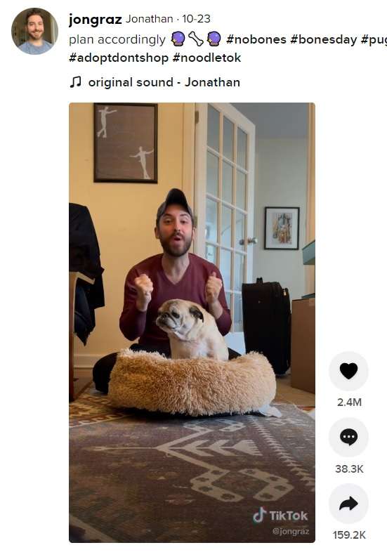 パグの毎朝の占いにフォロワー430万人が熱狂　5千万円超の宝くじを当てた人も！（米）