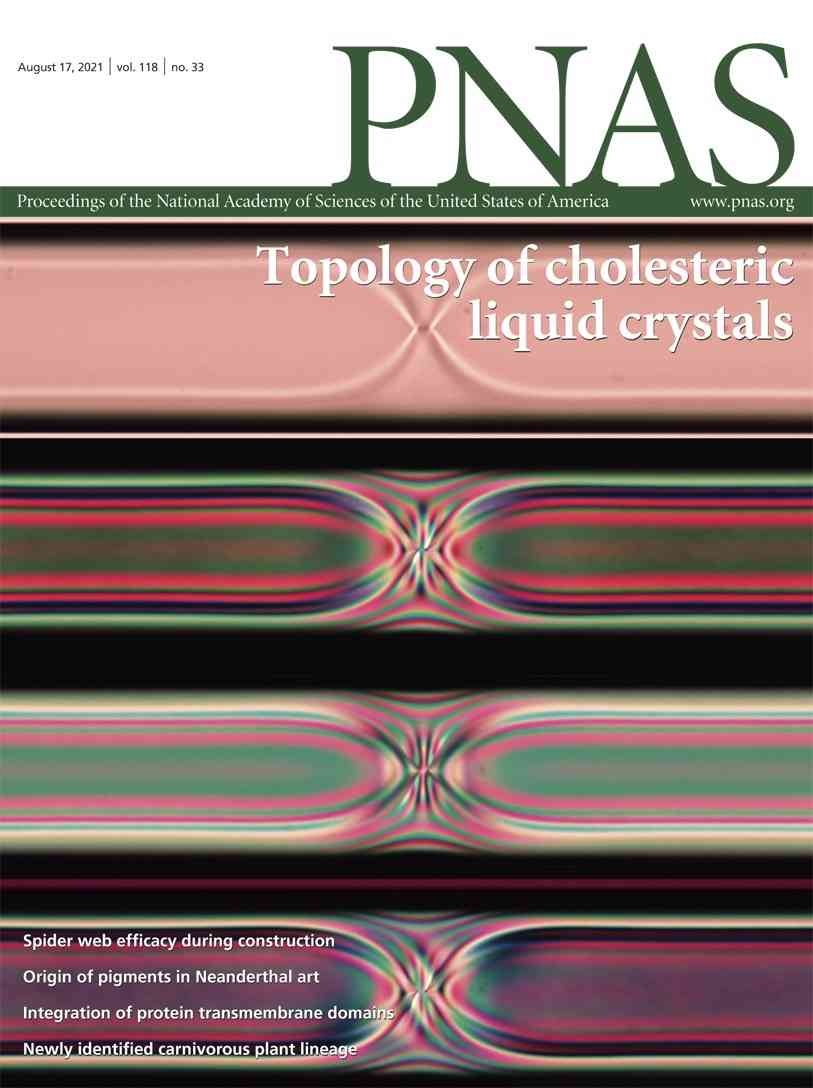 No evidence of SARS-CoV-2 reverse transcription and integration as the origin of chimeric transcripts in patient tissues | PNAS