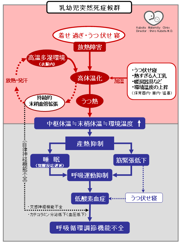 SIDSのメカニズム・原因と予防／久保田産婦人科麻酔科医院
