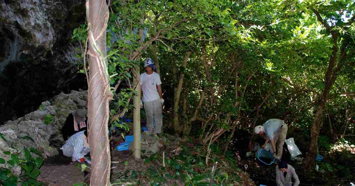 日本語の原郷は「中国東北部の農耕民」　国際研究チームが発表 | 毎日新聞