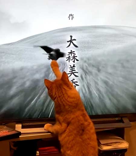 【実況・感想】青天を衝け (35)「栄一、もてなす」