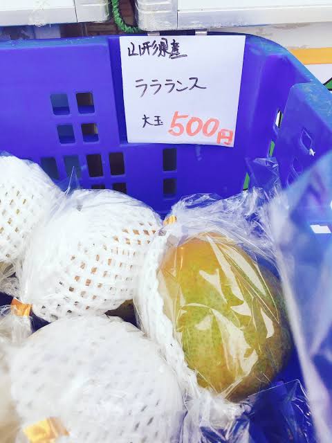 面白い誤字・誤植を貼ってコロナの憂鬱を吹き飛ばすトピpart5