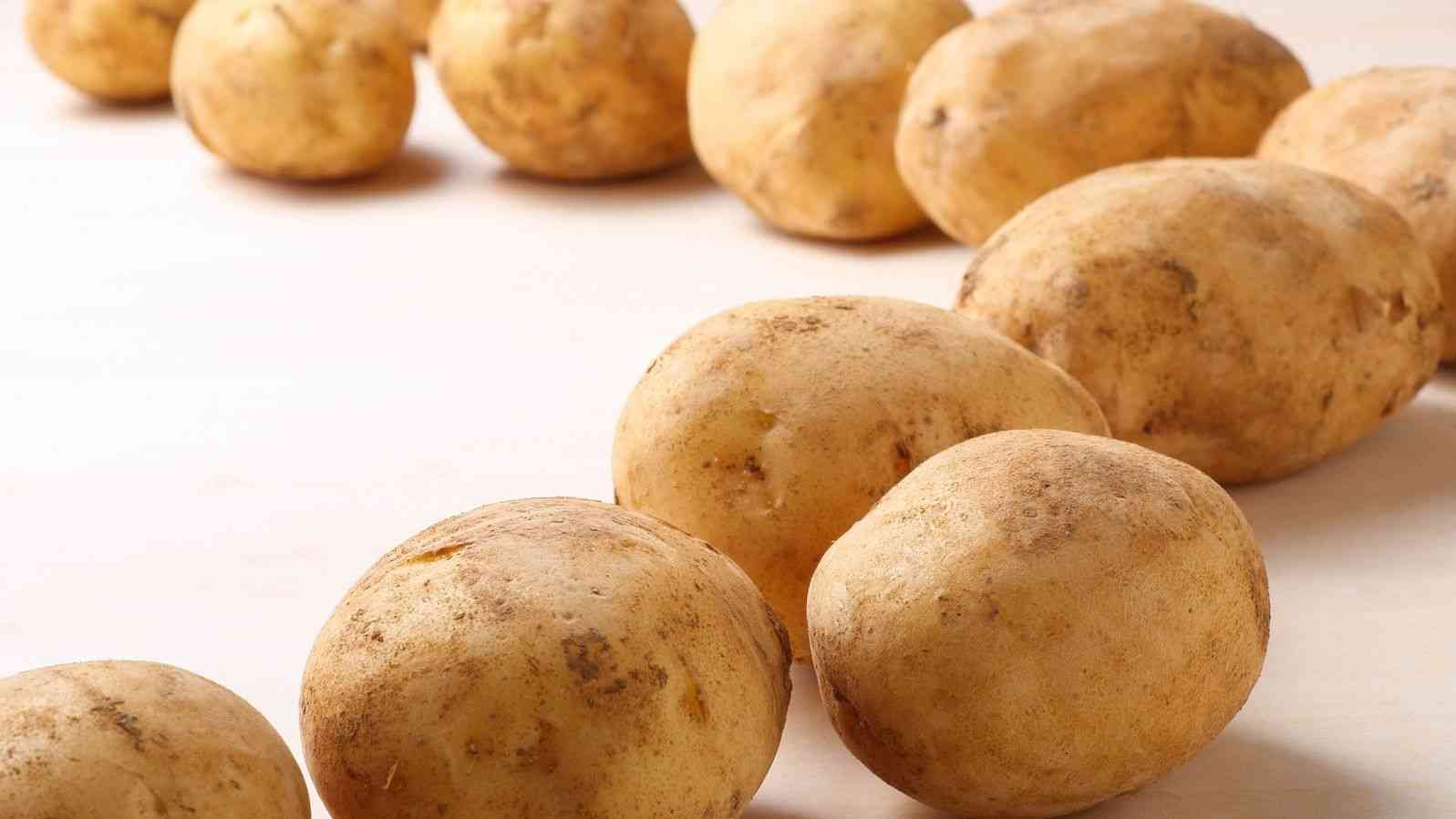 日本の食品｢輸入依存｣で連鎖する巨大なリスク | 食品 | 東洋経済オンライン | 社会をよくする経済ニュース