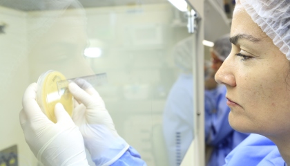 《ブラジル》抗生物質効かぬ細菌が急増＝コロナ禍の薬品多用で3倍超に（ニッケイ新聞） - Yahoo!ニュース