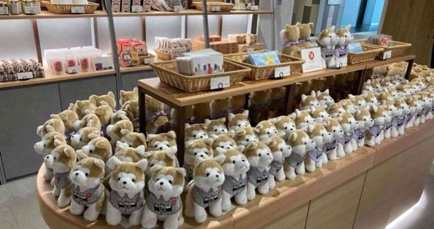 渋谷に登場した「ハチ公」ショップが可愛すぎて散財不可避　買い物が「秋田犬保護」につながるって...最高か？｜Jタウンネット