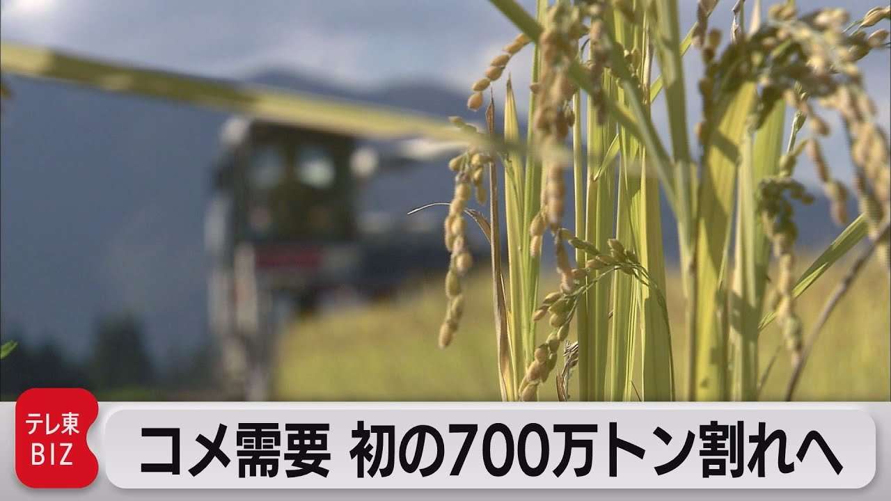 コメ需要 初の700万トン割れへ（2021年11月19日） - YouTube