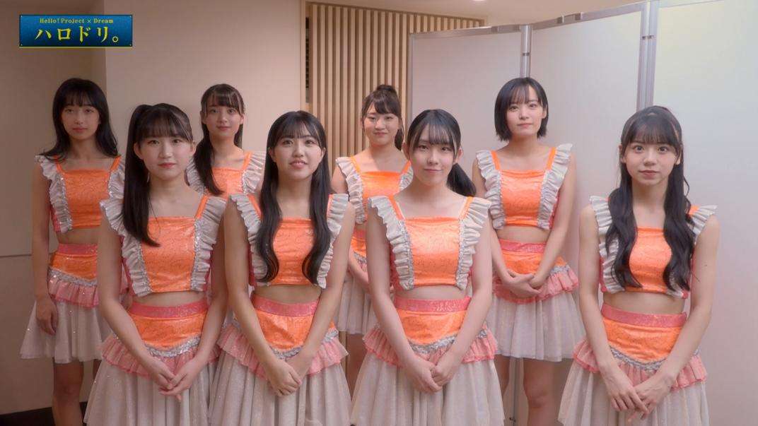 ハロドリ。｜民放公式テレビポータル「TVer（ティーバー）」 - 無料で動画見放題