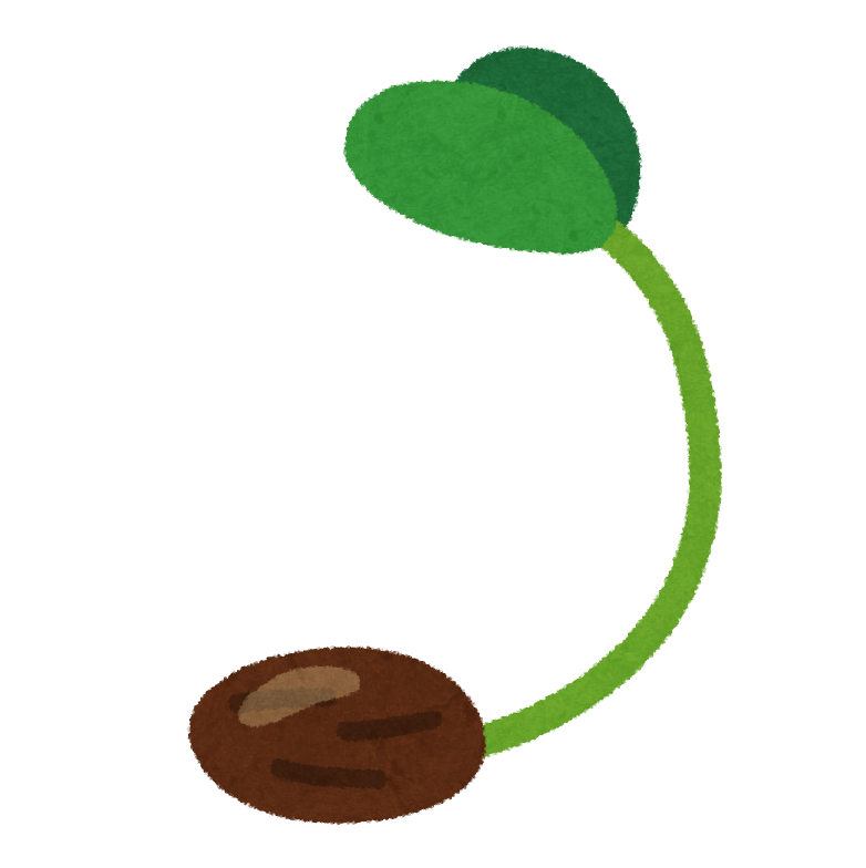 いつのまにか生えた植物　part3