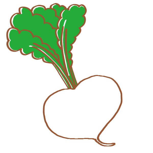 野菜のかぶが好きな人💚