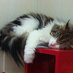 Lulu__19 on Twitter: 