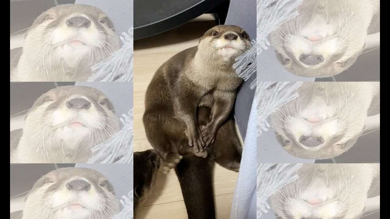 [Arrest] You can't do that in front of a girl! #Shorts - YouTube