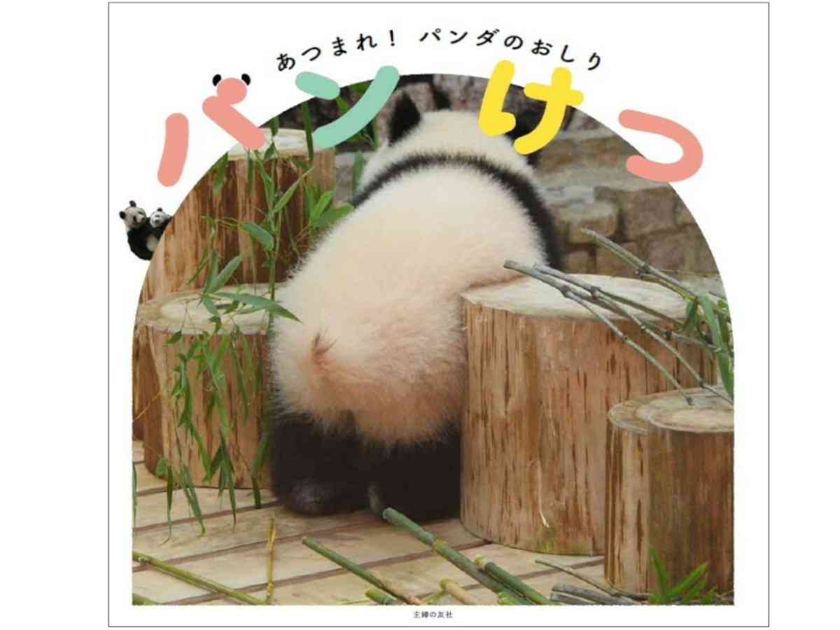 可愛すぎる写真集『パンけつ』　パンダのおしりにときめきが止まらない  –  grape [グレイプ]