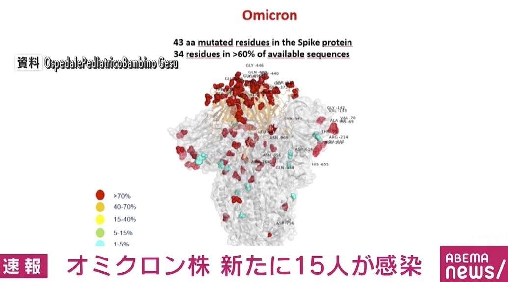 《速報》オミクロン株、国内で新たに15人の感染確認 全員が空港検疫で判明（ABEMA TIMES） - Yahoo!ニュース