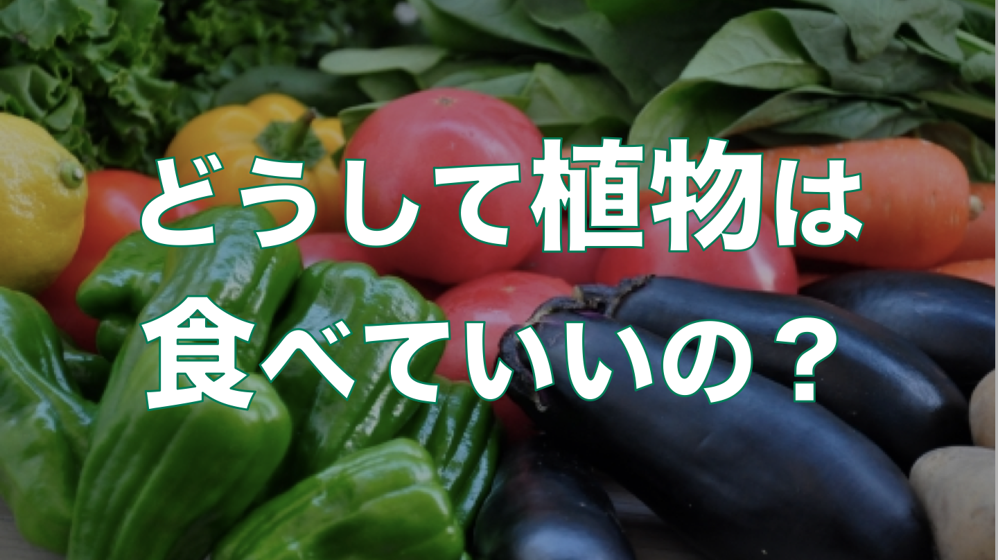 【植物は食べていいの？】ヴィーガンが動物の命だけ大切にする理由。 | そうは言っても工藤さん！
