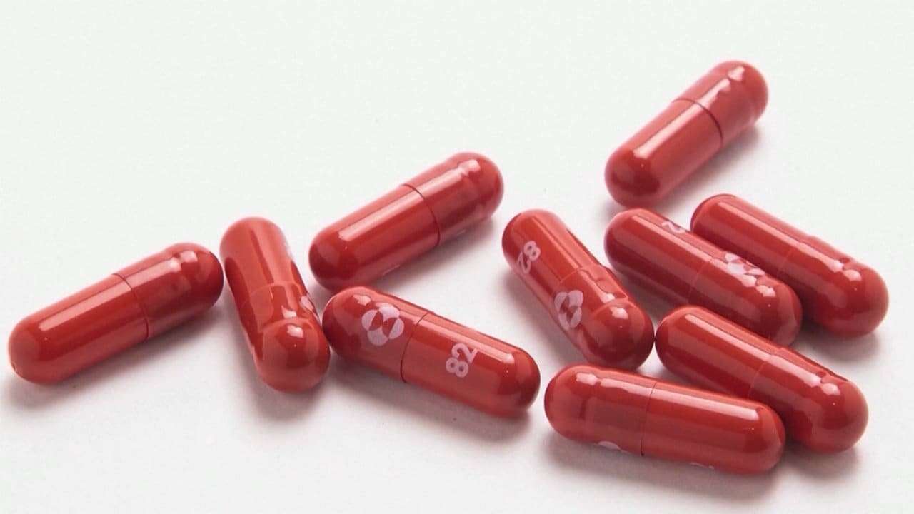 News Digest - 米メルク緊急使用許可 重症化3割抑える効果か 新型コロナの飲み薬