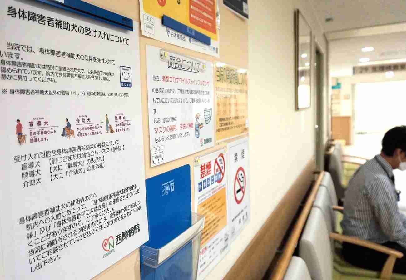 病院が盲導犬同伴を拒否、視覚障害者が困惑　不十分な補助犬への社会的理解（京都新聞） - Yahoo!ニュース