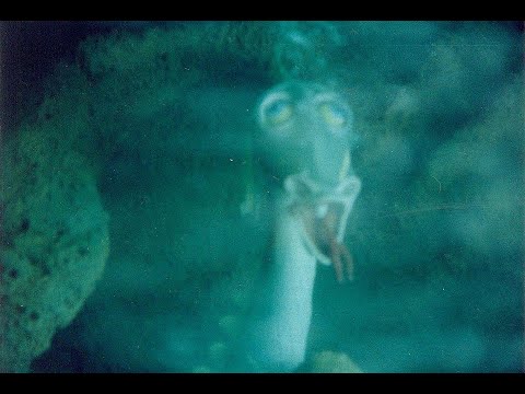 submechanophobia - YouTube