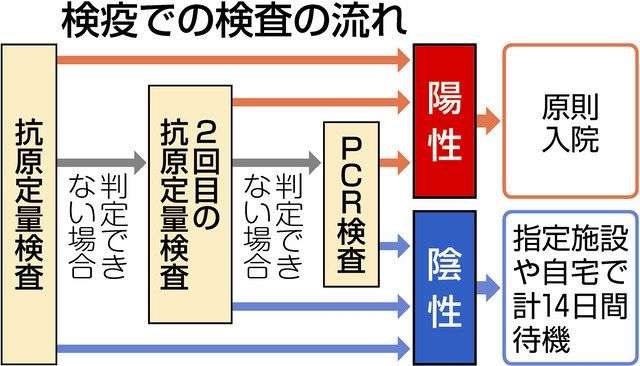 検疫でオミクロン株陽性なら全員入院　症状の有無問わず　政府、教訓踏まえ厳格措置：東京新聞 TOKYO Web