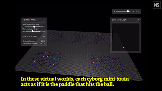 実験室内で培養した人の「ミニ脳」にゲームをプレイさせることに成功、AIよりも速いわずか5分で習得