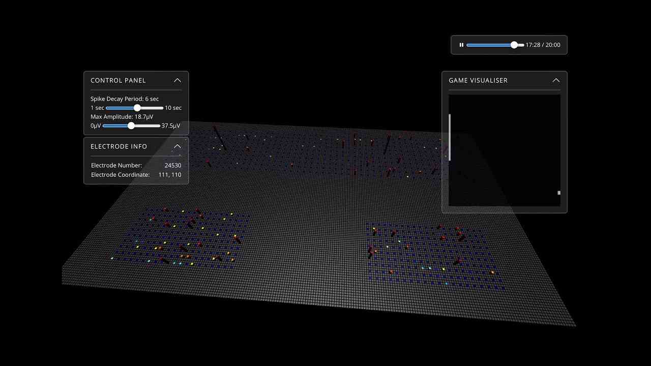 Human brain cells in a dish learn to play Pong - YouTube