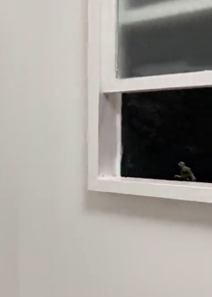 これは絶叫不可避...　客が悲鳴をあげまくる「シャイニング」すぎるトイレに反響「心臓に悪い」