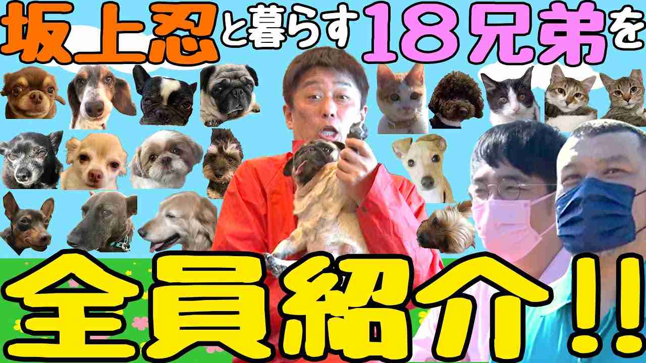 【坂上家の１８兄弟さんを全員紹介！】さらに、新たな兄弟も初出し！ - YouTube