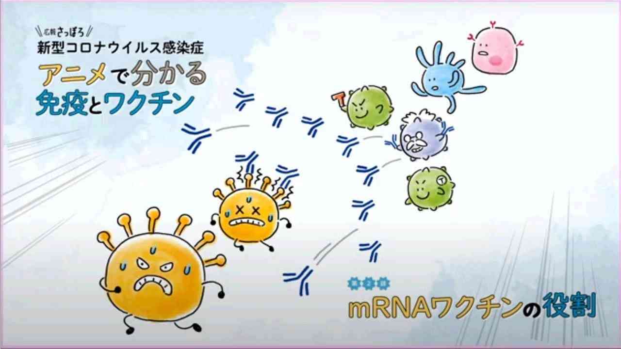 アニメで分かる免疫とワクチン　第2話「mRNAワクチンの役割」 - YouTube