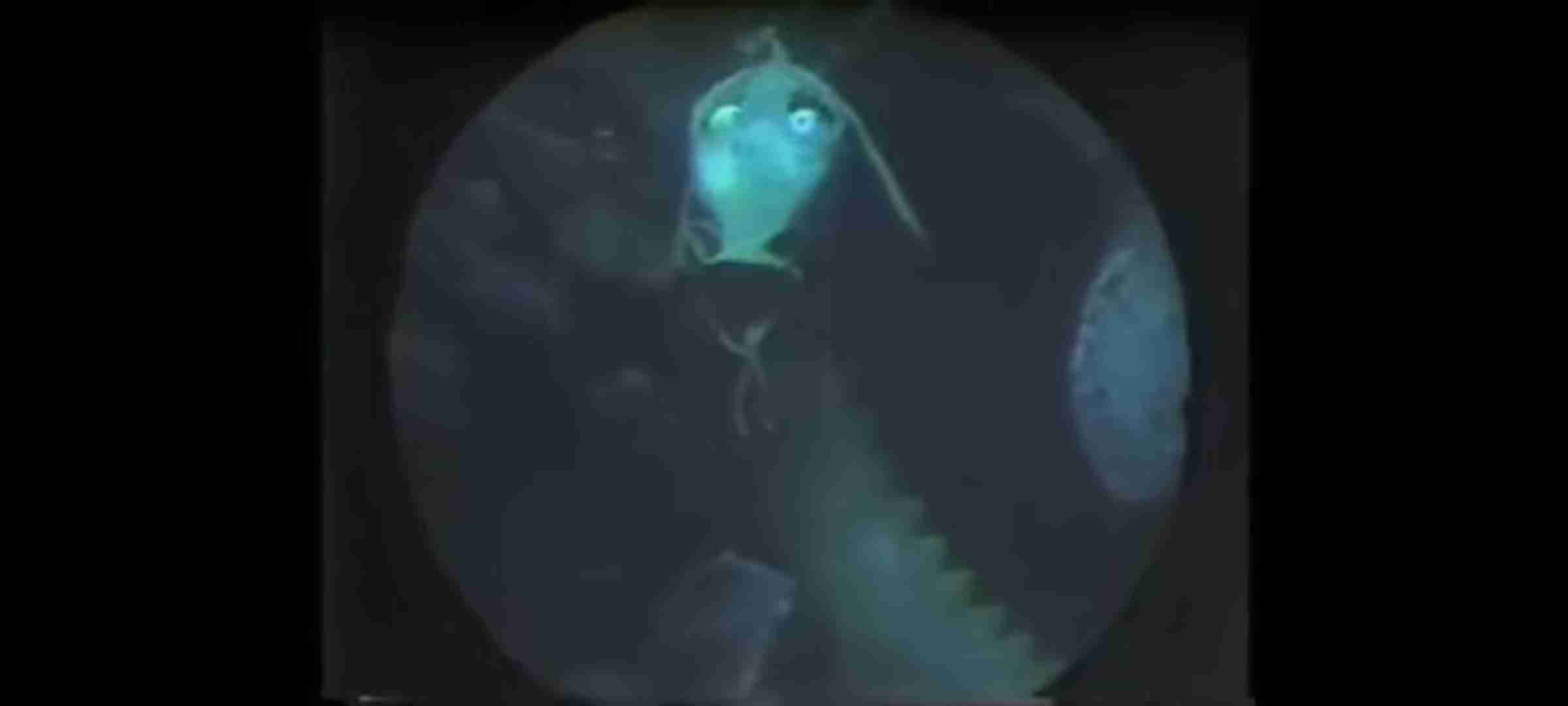 分からないことを聞いたら教えてくれるトピ