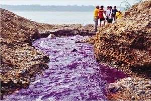 中国・西安がコロナ拡大でロックダウン　「出血熱」も同時流行で警戒