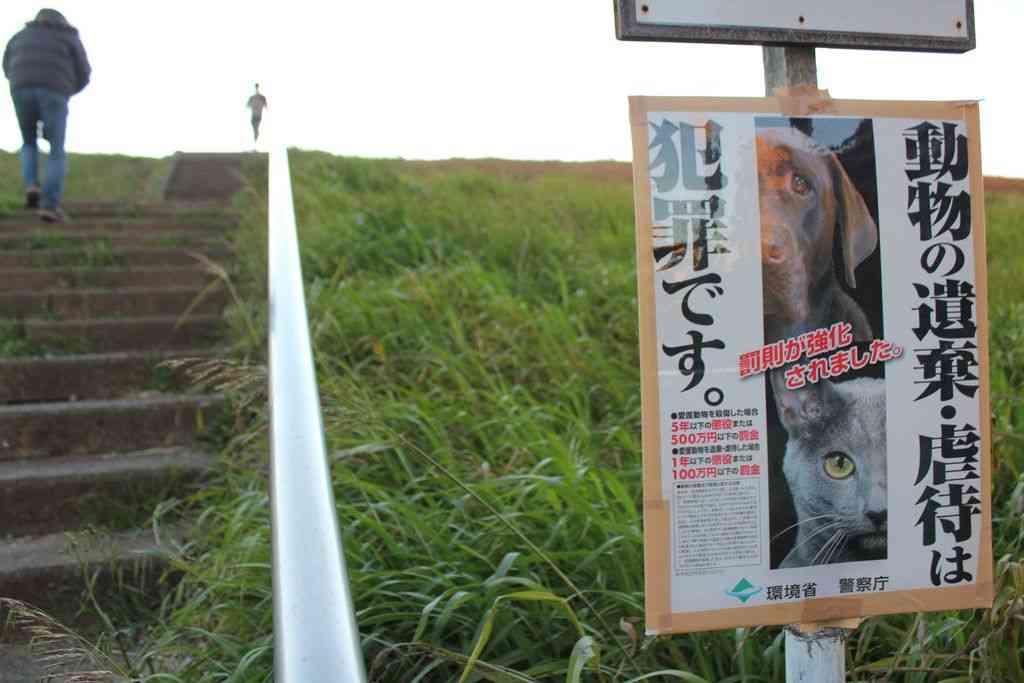 「地域猫」６匹殺される　腹部切り裂き、容疑で捜査―千葉県警：時事ドットコム