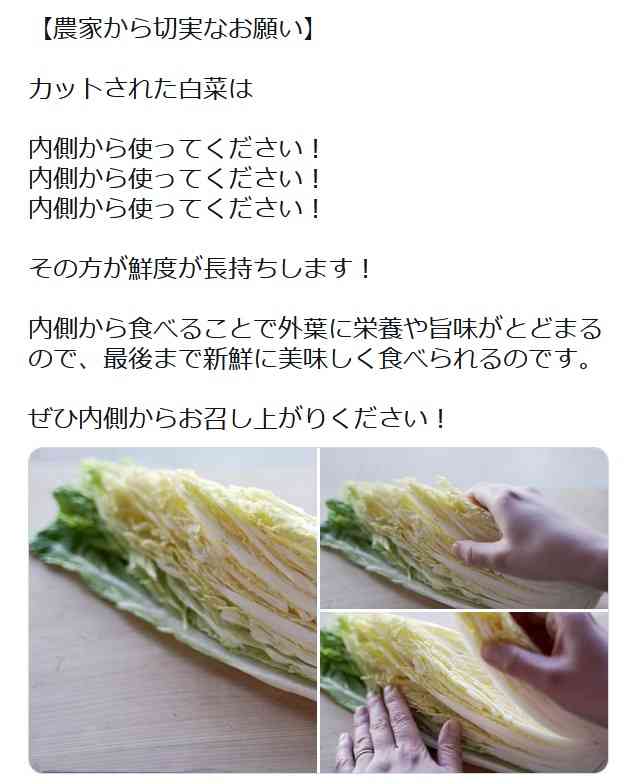 カット白菜の鮮度を長持ちさせるコツ 農家の投稿に驚きの声が続々