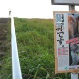 >>819基本的には引き取らないだから市の回答もこれ | ガールズちゃんねる - Girls Channel -