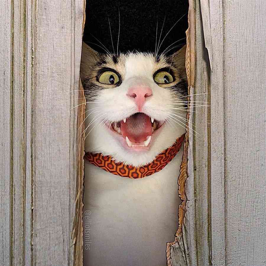 これは絶叫不可避...　客が悲鳴をあげまくる「シャイニング」すぎるトイレに反響「心臓に悪い」