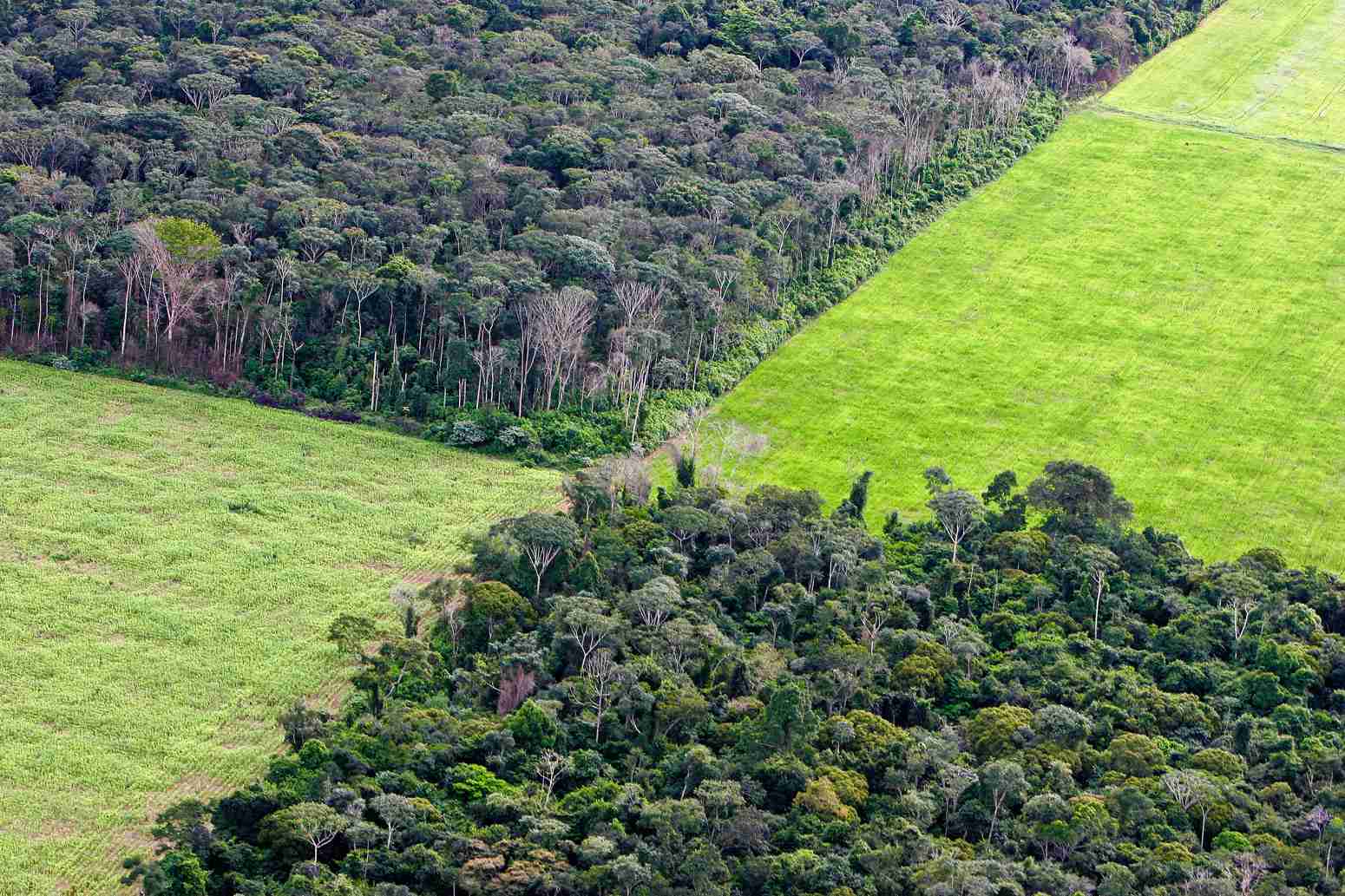         Global CO2 emissions have been flat for a decade, new data reveals - Carbon Brief    
