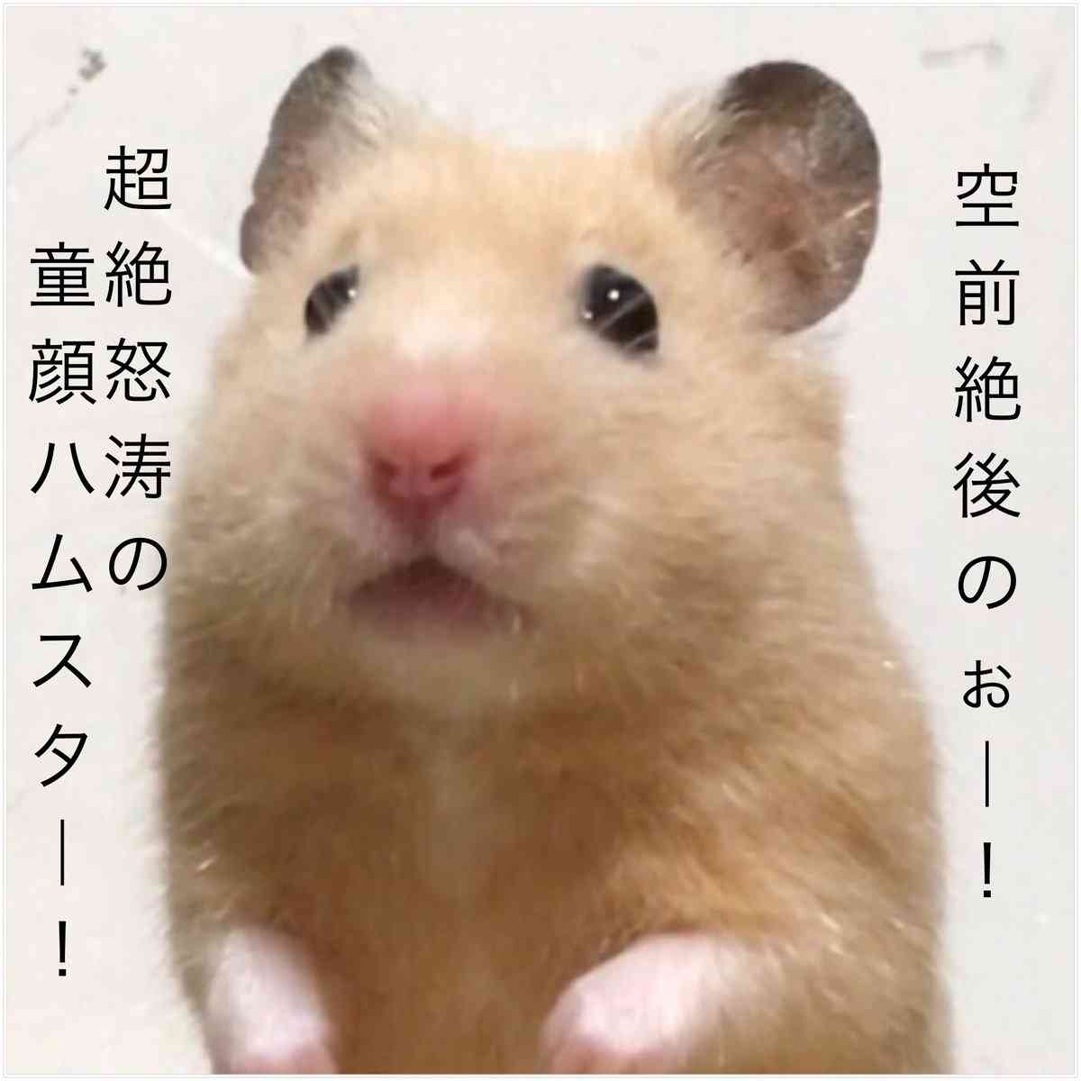 子どもを預けたら「母親の自覚がない」…見知らぬ人からの批判に、スカッと反論!