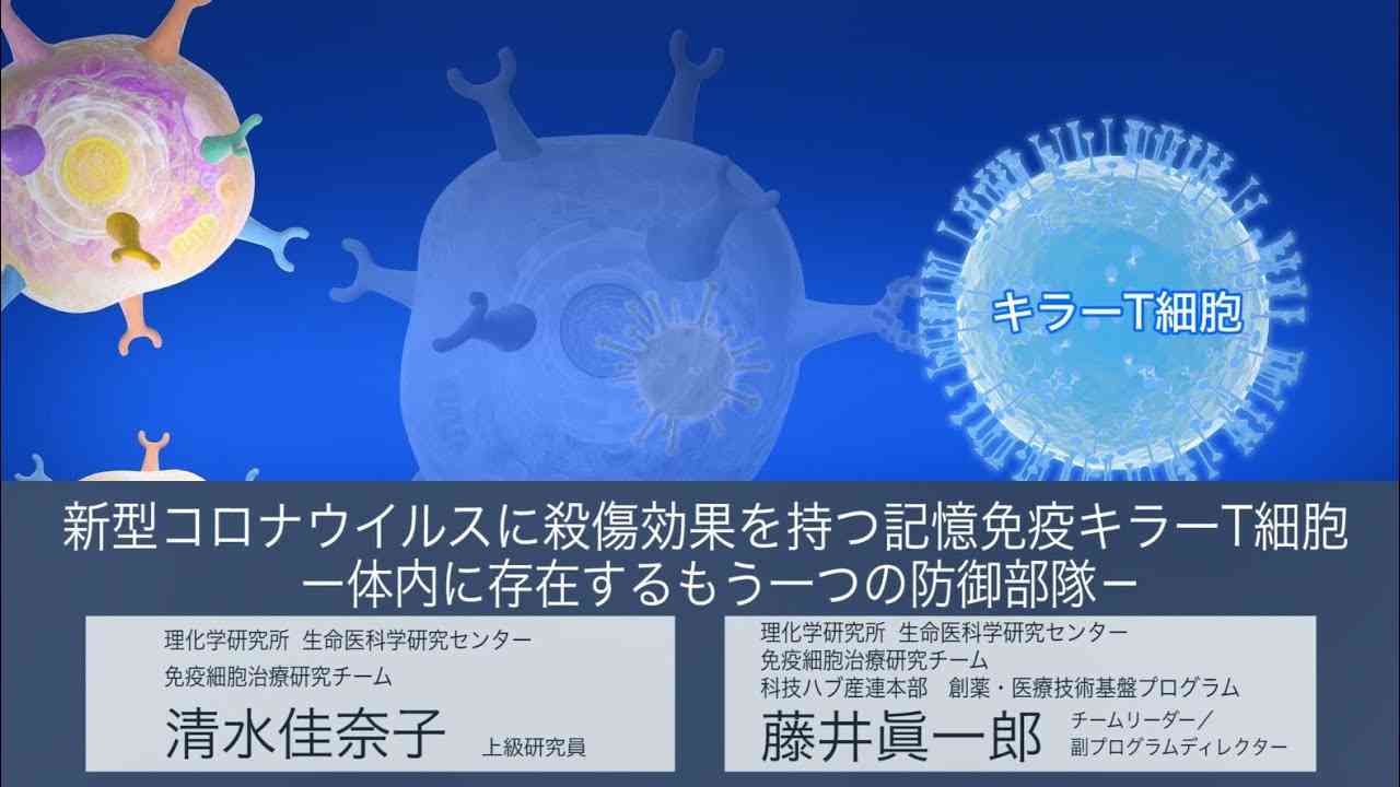 プレスリリース解説 vol.8「新型コロナウイルスに殺傷効果を持つ記憶免疫キラーT細胞 －体内に存在するもう一つの防御部隊－」 - YouTube