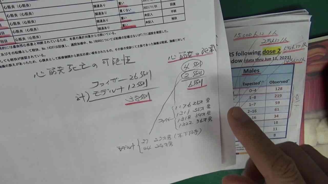 12月3日 心筋炎を見物する会 - ニコニコ動画