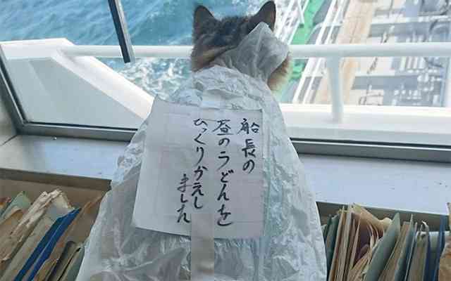 「僕はいじめっ子です」看板を持った子供を道路脇に立たせる親の躾が物議（米）＜動画あり＞