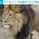 >>22232枚目！ | ガールズちゃんねる - Girls Channel -