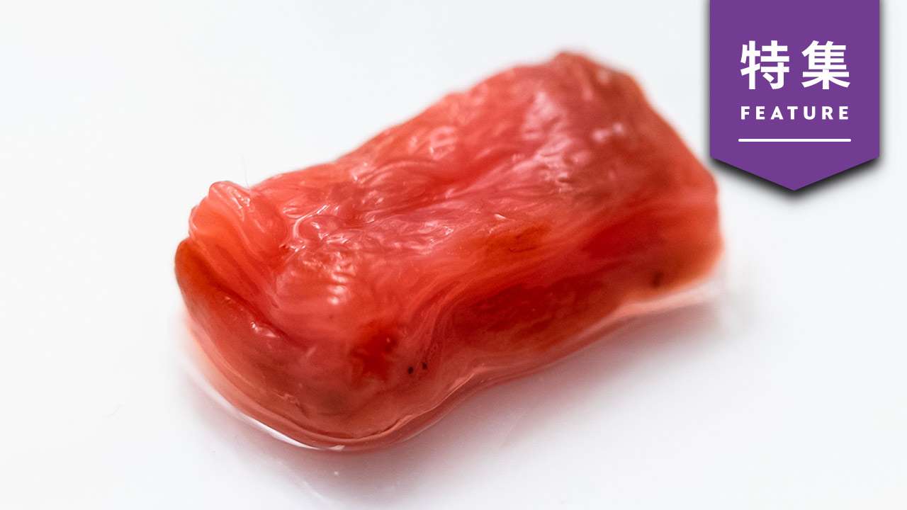 日清食品の培養肉ステーキがスーパーに並ぶ日【未来予測8】：日経クロストレンド