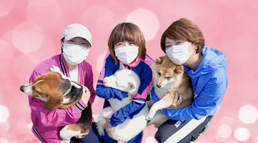 【お知らせ】YouTubeに「KAWATAとNANAとERIKAと犬チャンネル」を開設しました  |  RAPT理論のさらなる進化形