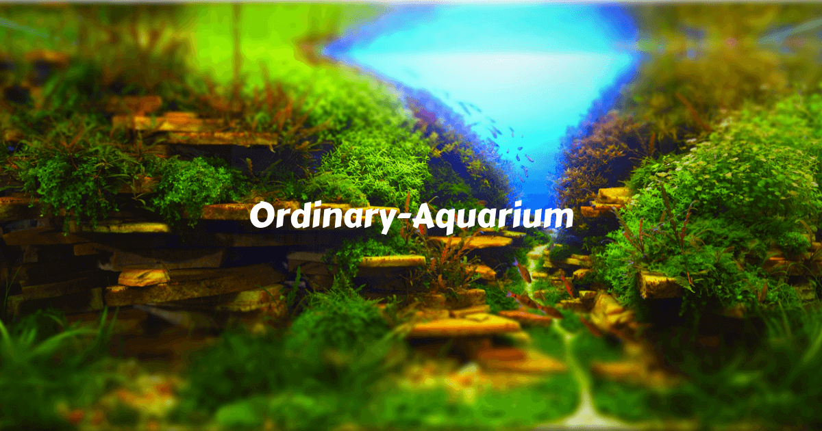 Ordinary-Aquarium | プロが解説する初心者必見の水草情報ブログ