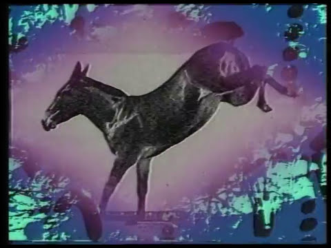 The Art of Noise - Legs (Official Video) - YouTube