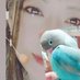 レオンロイサン on Twitter: 